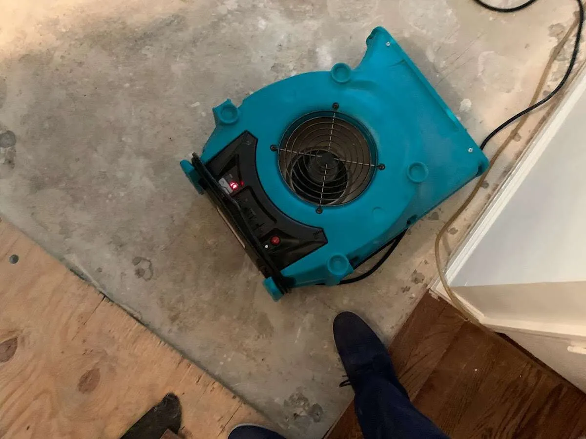 Air mover drying subfloor during Commercial Water Damage Restoration in Severance